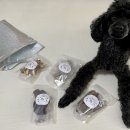 두즈파크 이미지