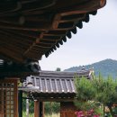 장성군청 | 장성가볼만한곳/ 전남 장성 여행하고 상품권으로 돌려받자!