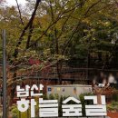 관악산 무장애숲길 | 남산의 재발견, &#39;하늘숲길&#39; 다녀왔어요! (새로 개방한 조용한 무장애 숲길 후기)