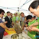 버들어린이공원 이미지