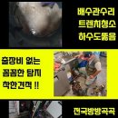 재재수선 이미지