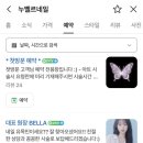 누벨르네일 - 달서구 월곡로53동길 16-20 | 누벨르네일