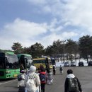 용인대성민태권도 이미지