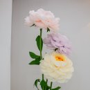 도구로9길 20-1 이미지