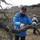 동산농원 이미지