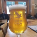 크로우(crow) 이미지