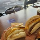 쏘니 | 캐나다 옐로나이프 신혼여행 후기 - 쏘니 오로라, 날씨, 옷차림, 샤토노바 호텔 (11월말, 12월초)