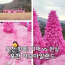 아일랜드 | 포천 허브아일랜드 후기🌿 핑크모래 썰매부터 아이랑 하루 코스 추천