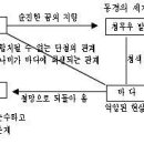 바다와 나비 이미지