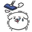 아기애견 이미지