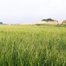 강나루생태공원 이미지