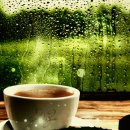 비오는날 커피한잔 이미지
