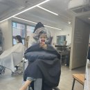 디하문바이공주에서 클리닉,세팅,헤어컷 후기
