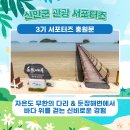 둔장마을미술관 | 🌉여름 휴가지 추천! 신안 자은도 무한의 다리 &amp; 둔장해변에서 바다 위를 걷는 신비로운 경험