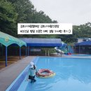 김포시썰매장식당 | 김포사계절썰매장 김포사계절수영장 비오는날 평일 오픈런 전세내고 놀고 온 자세한 후기 :)