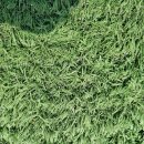 가평종합운동장 가평희망구장 이미지