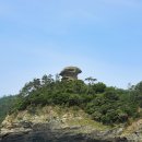 진도개천국 | 진도 가볼만한곳 베스트10