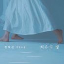 '치유의 빛'-논제가 있는 독서 토론