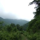 수항1교 이미지