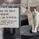 덕분식당 이미지