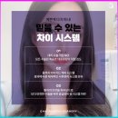 차이성형외과