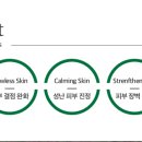 피오나화장품 이미지