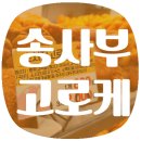 송사부수제쌀고로케경산이마트점 | [경산/이마트] 송사부 수제쌀 고로케