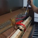 이화파크 이미지