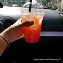 모이밍 이미지