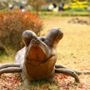 자연의향기 이미지