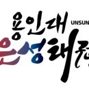 용인대 은성 태권도 이미지