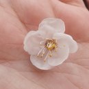 벚꽃역베이커리 - 창원시 진해구 남빈동 | 종로/안국역 🌸벚꽃 뷰 카페 '퀸즈베이커리 삼청점' 후기