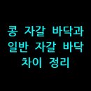 콩 자갈 바닥과 일반 자갈 바닥 차이 정리