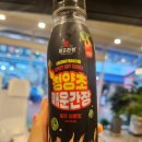 청양초등학교 | 내돈내산후기 Dazzle shop 다즐샵 닭가슴살 도시락 나시고랭 몽고간장 청양초 매운간장 필수!