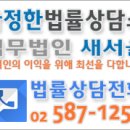 [질문]-특별한정승인 적극재산을 어떻게 기재해야 하나요? 이미지