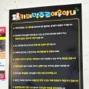 비_쥬르 | 포항 "멍쥬르" 오션뷰 애견카페, 2주 연속 가본 내돈내산 추천