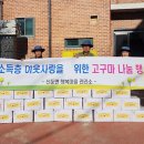 고맙구마