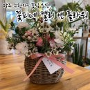 명진문구마트 | [광주 수완지구] 수완동 꽃집 꽃피네에서 꽃바구니 선물 후기