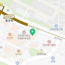 무마취 고양이 미용실 반할고양 이미지