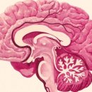 광명 현대보청기 이미지