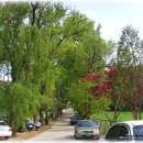 일석목장 이미지