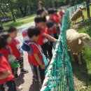 은혜유치원 이미지