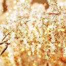 아름다운기억 이미지