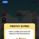 임금농장 이미지