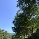 구지농업협동조합 동부지점 | 경남 의령 취사가능/애견동반 가능한 계곡 평상무려부터 마트까지 ! (찰비계곡)