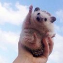 정글PC방 이미지