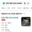 신영재동물병원 네이버블로그