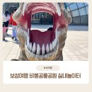 쇼 보성 | 보성아이랑갈만한곳 보성공룡박물관 풍선쇼 관람후기