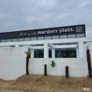 대구대로L 이미지