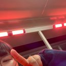 (주)니프로동덕메디칼 | [호주 워홀 84-88일차] : 우당탕탕 스탠브로크 적응기(?)